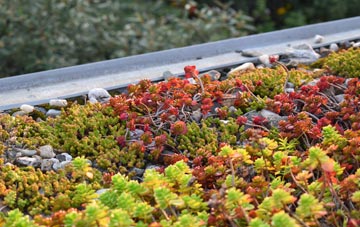 the cost of Harrietfield green roof installation