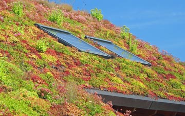 Harrietfield living roof systems